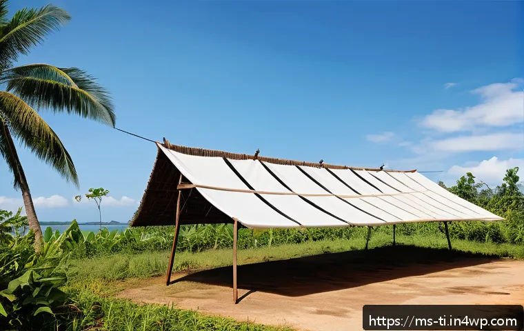 Rahsia Mengatasi Masalah dan Elak Kesilapan Semasa Penghasilan Makanan Kering 4 건조 식품 제조 시 주의사항 및 문제 해결 관련 이미지 2